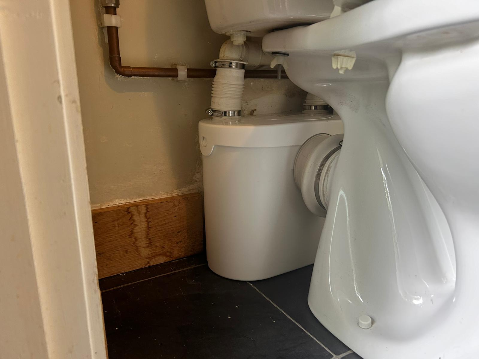 WhatsApp Image 2024-09-09 at 14.54.30_cde5b6dd