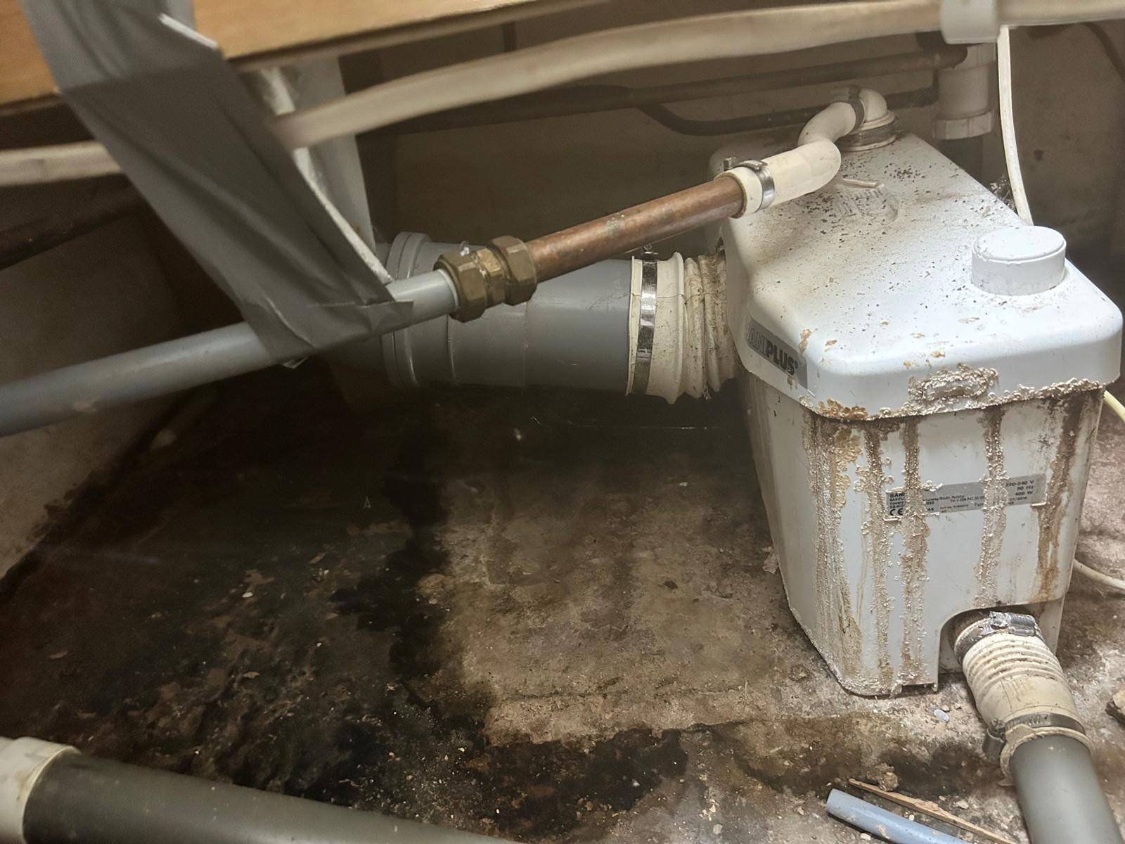 IMG-20250913-WA0039 IMG 20250913 WA0039